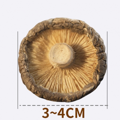 Dried Proucts