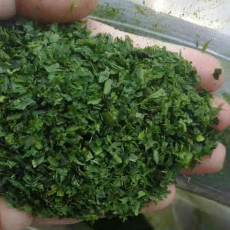 Ao nori powder